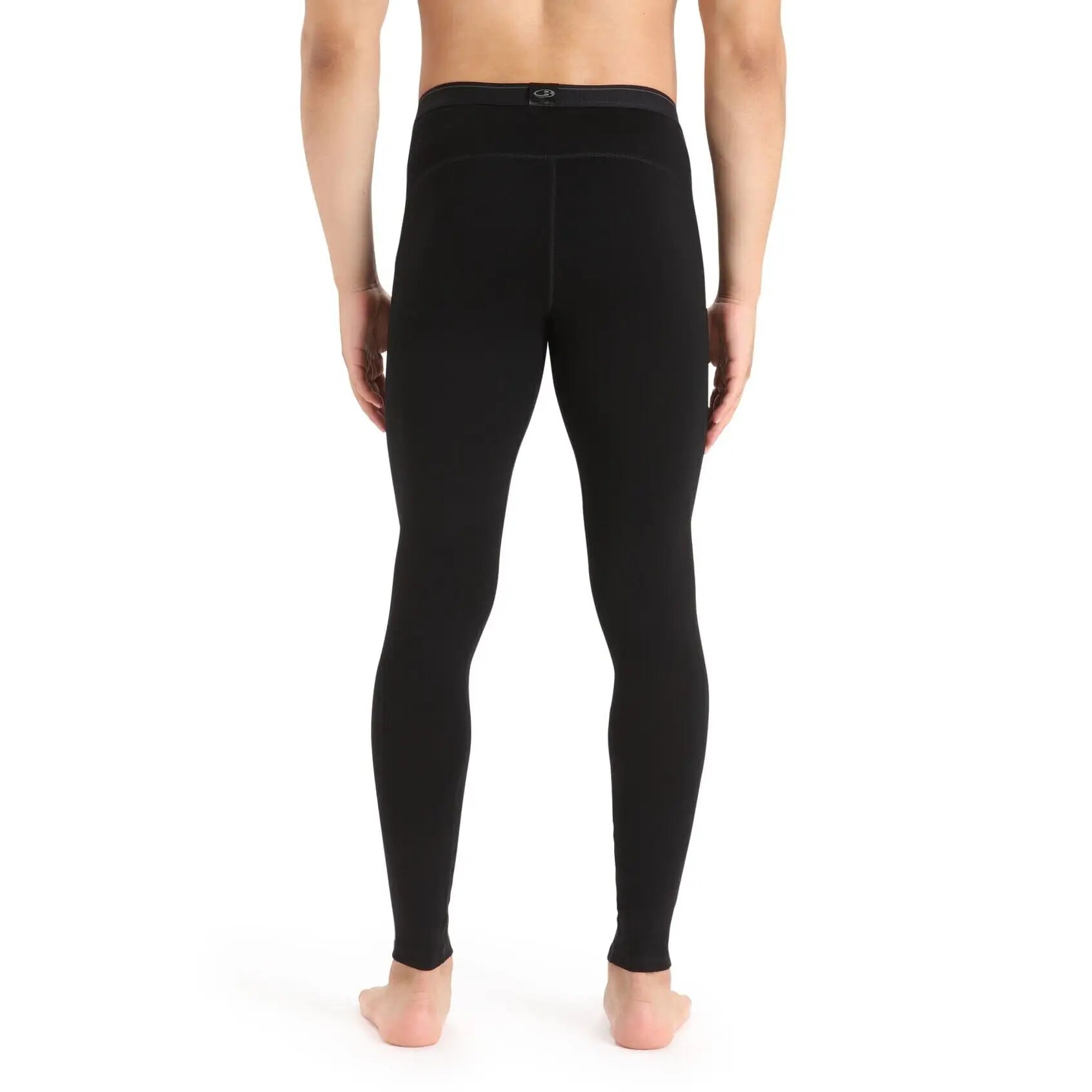 Icebreaker 260 Tech Leggings 2024