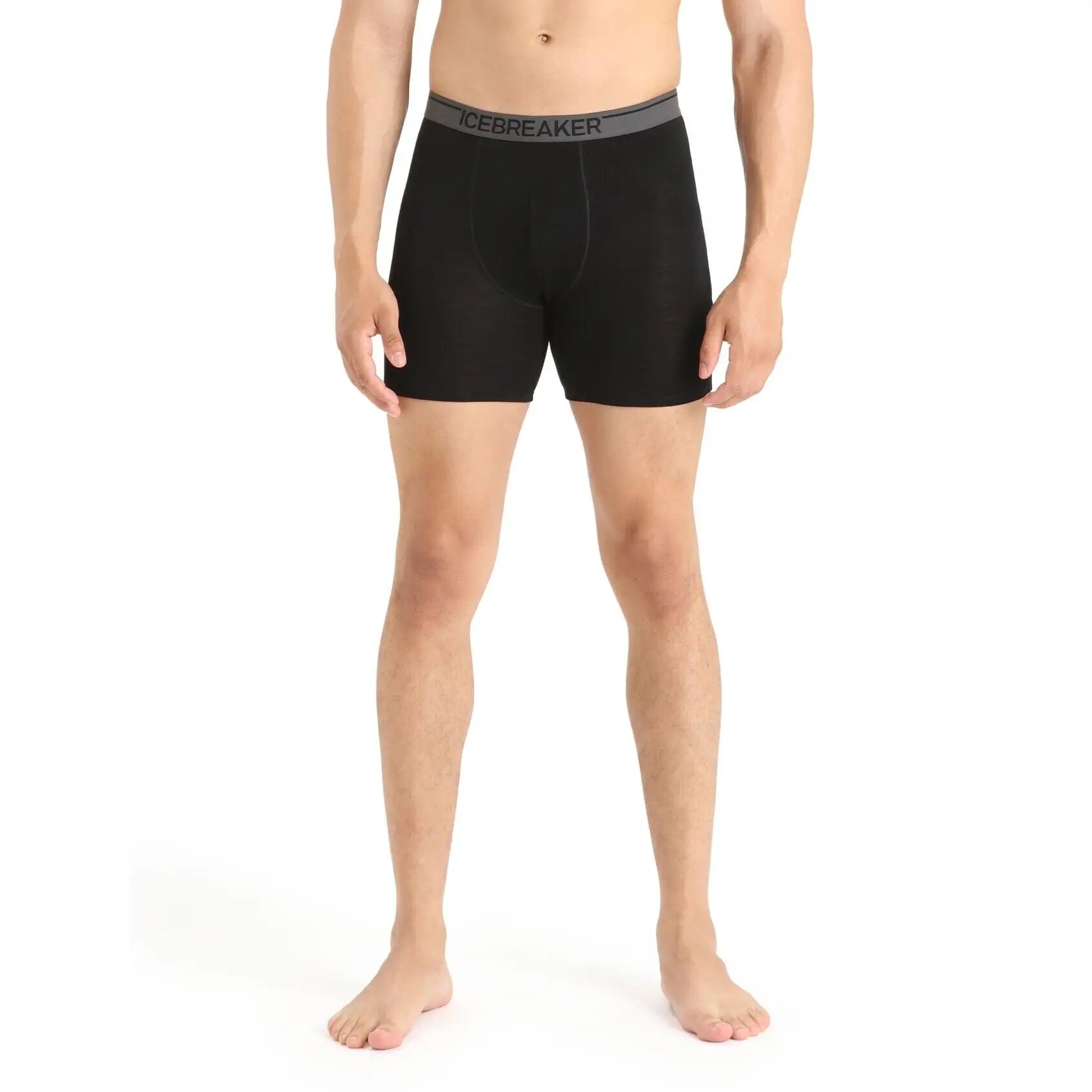 Icebreaker Anatomica Long Boxers 2024