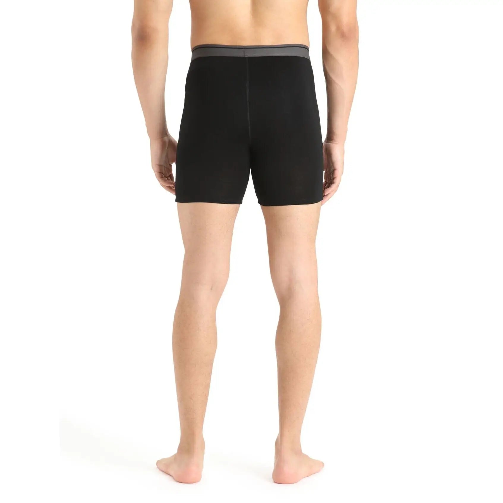 Icebreaker Anatomica Long Boxers 2024