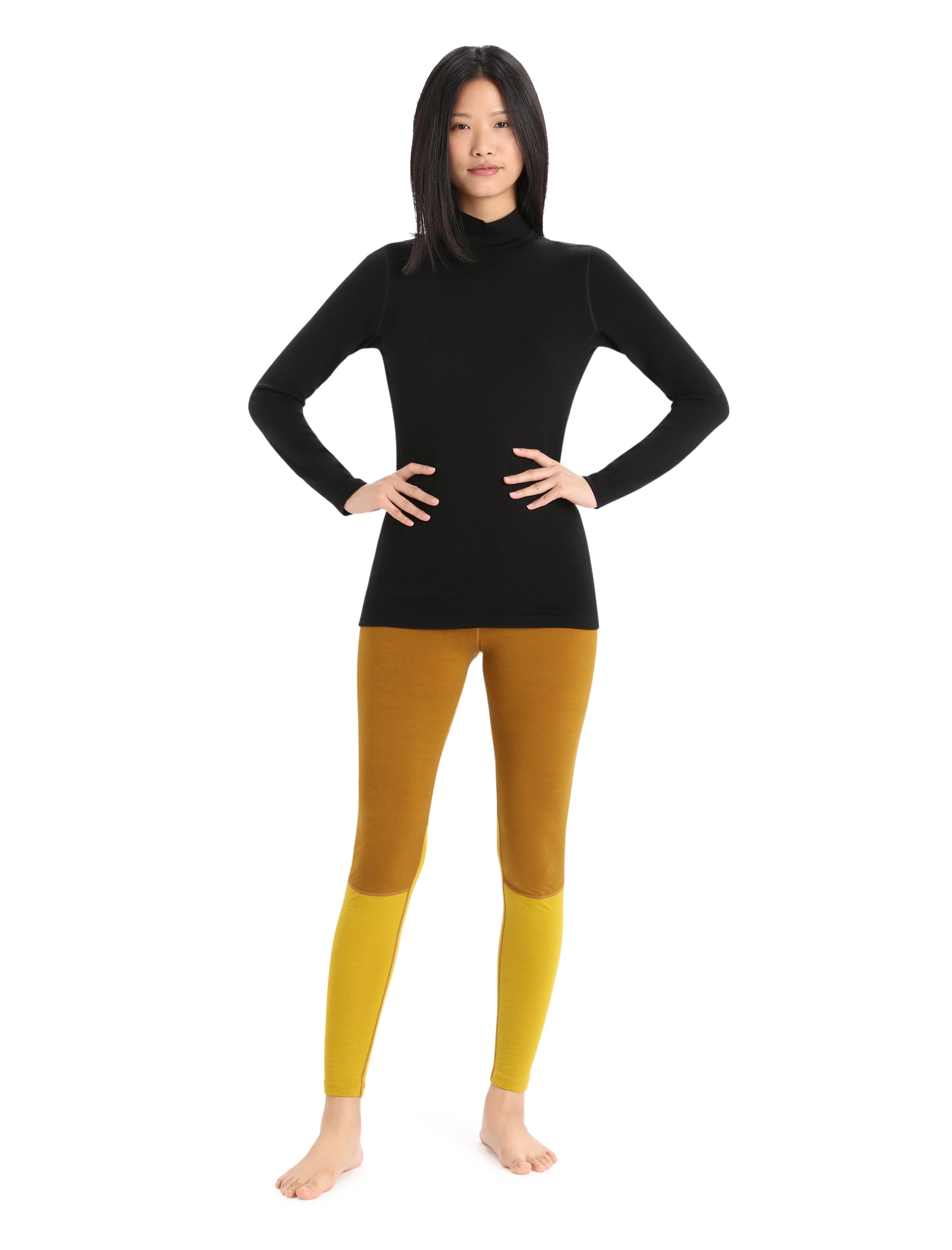 Icebreaker Womens Merino 260 Tech Long Sleeve Turtleneck Thermal Top
