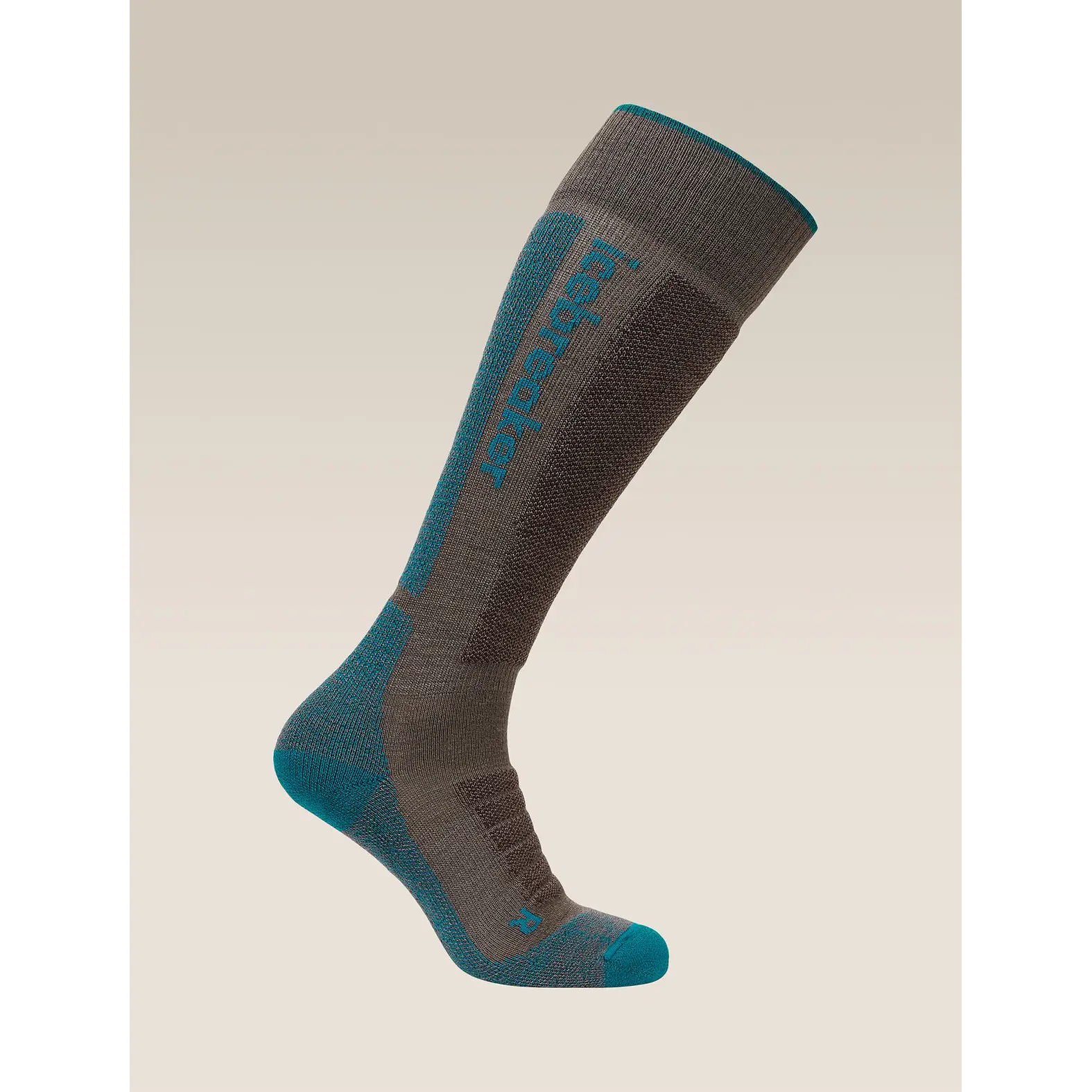 Icebreaker Womens Merino Blend Ski+ Medium OTC Socks