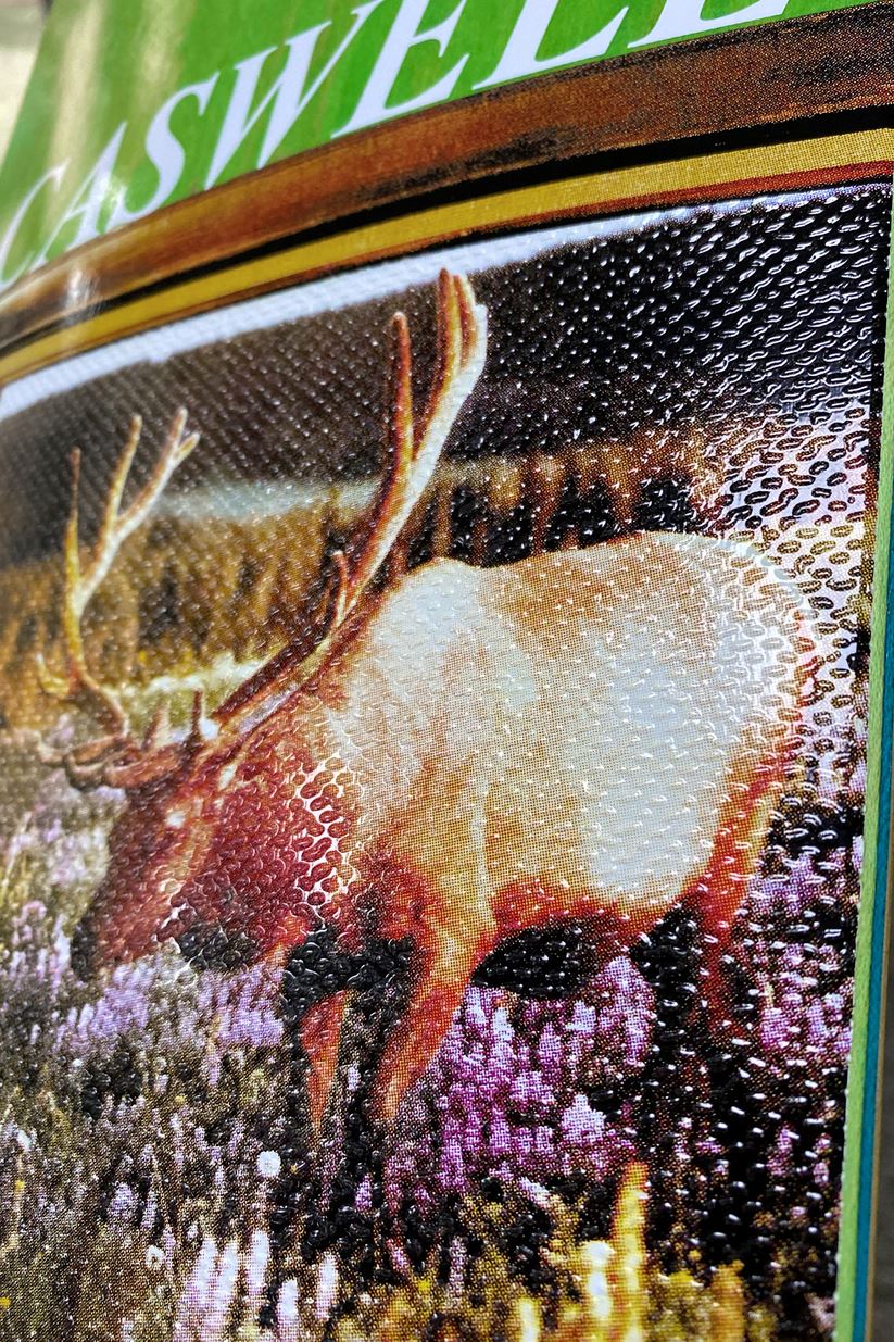 Jacuzzi Caswell Berry Venison Deck