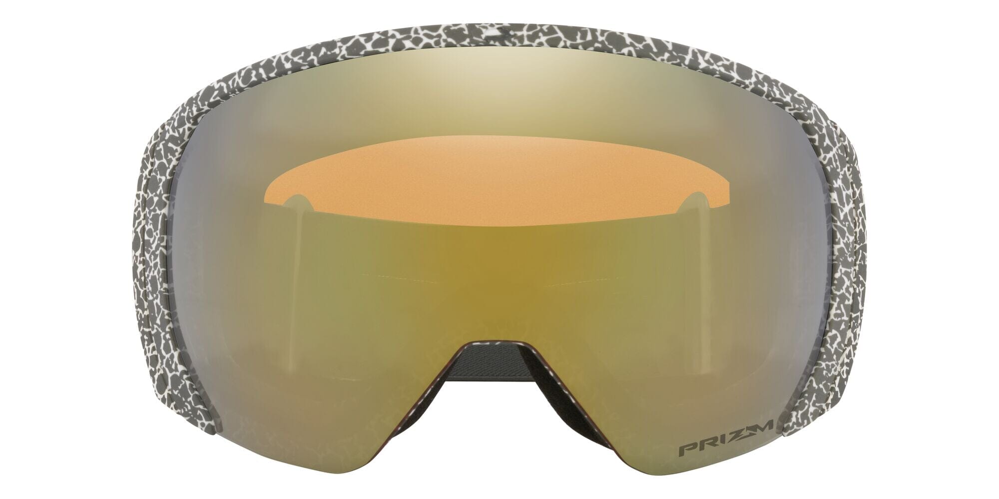 Oakley Flight Path L Goggles 2023