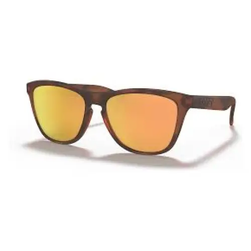 Oakley Frogskins Polarised Sunglasses 