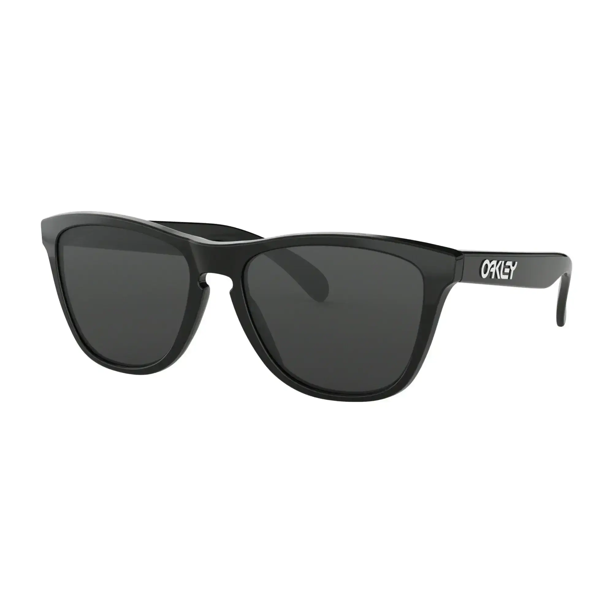Oakley Frogskins Sunglasses