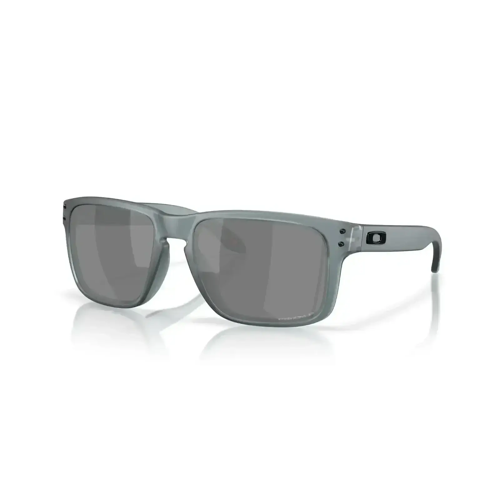 Oakley Holbrook Polarised Sunglasses