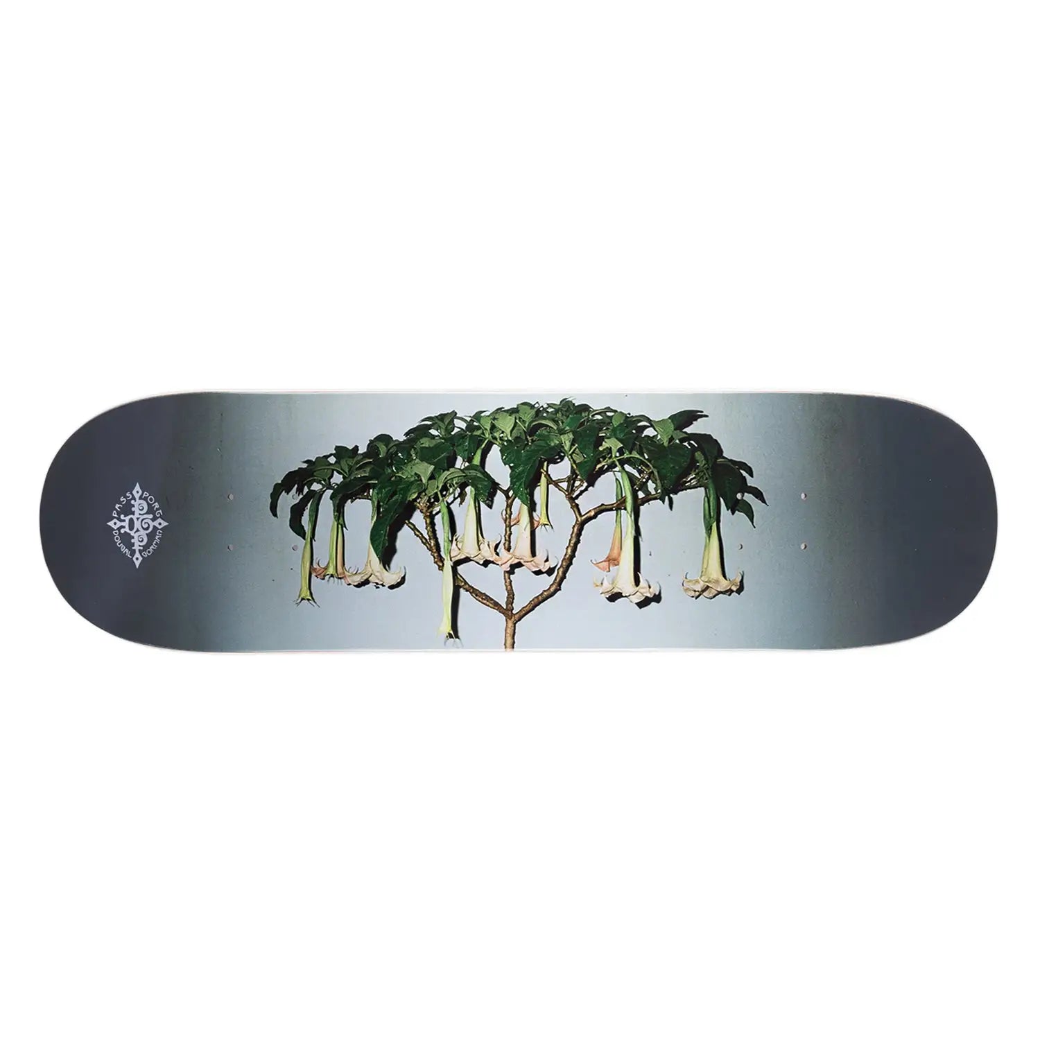Passport Dougal Gorman Series Angel Trumpets Skate Deck