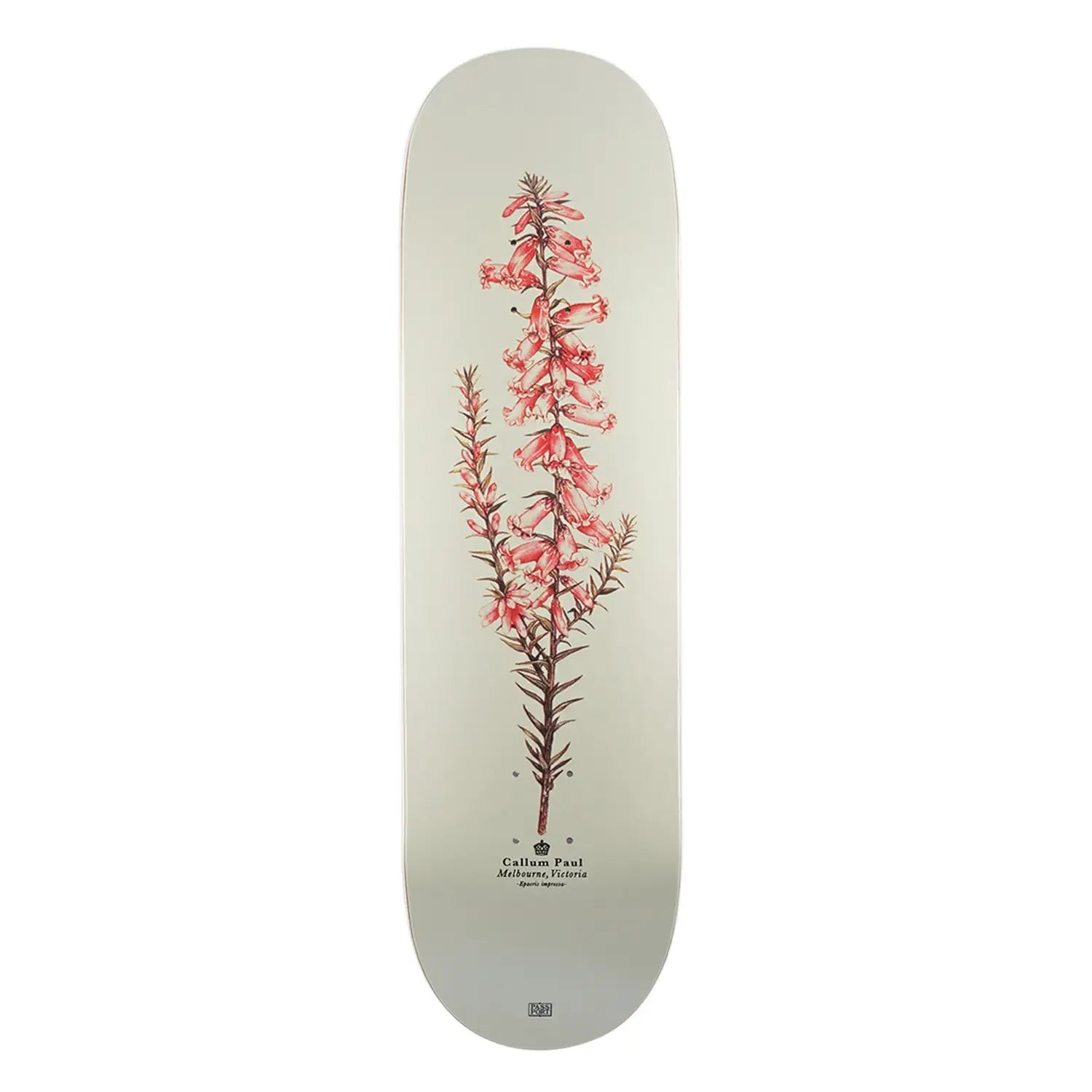 Passport Pro Reissues Pink Heath Callum Paul Skate Deck