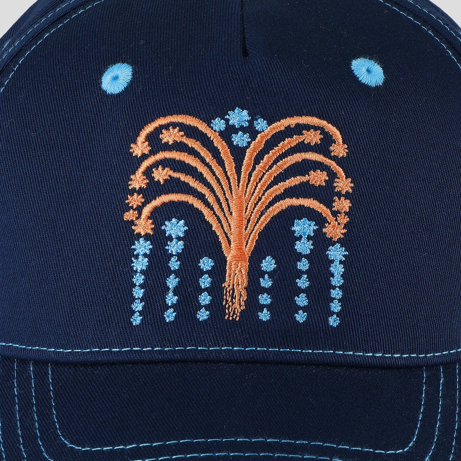 Passport Roman Candle Packers Cap