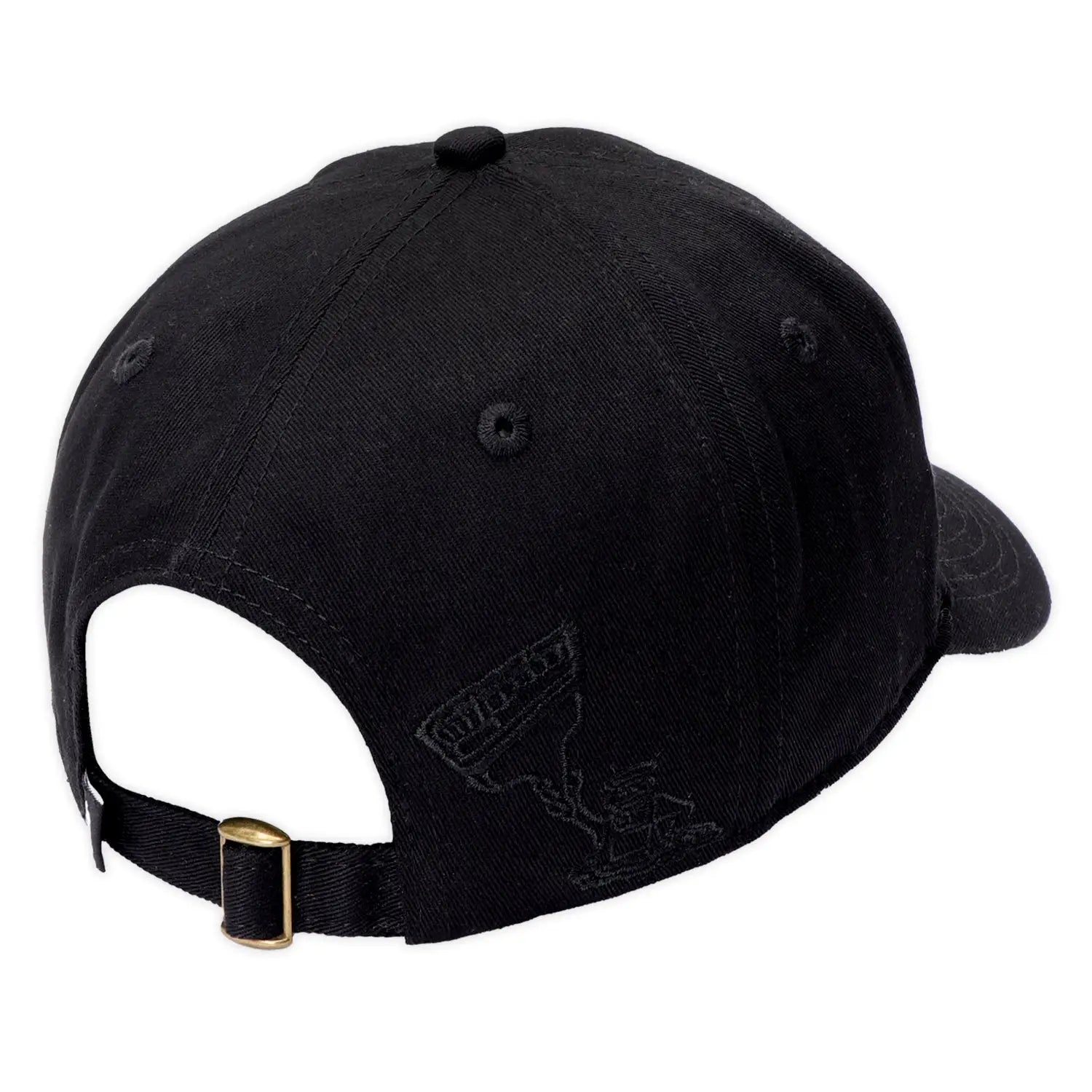 Passport Shop Rules Packers Cap