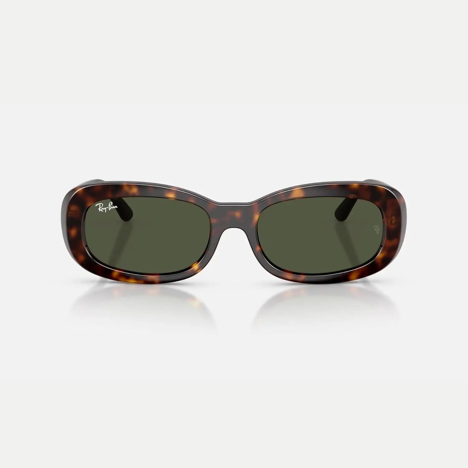 Ray-Ban 0RB2221 Sunglasses 