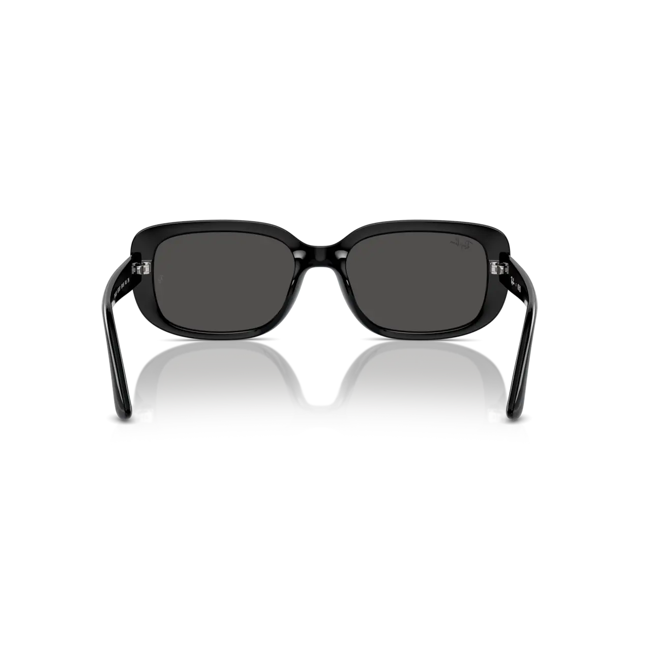 Ray-Ban 0RB4421D Sunglasses