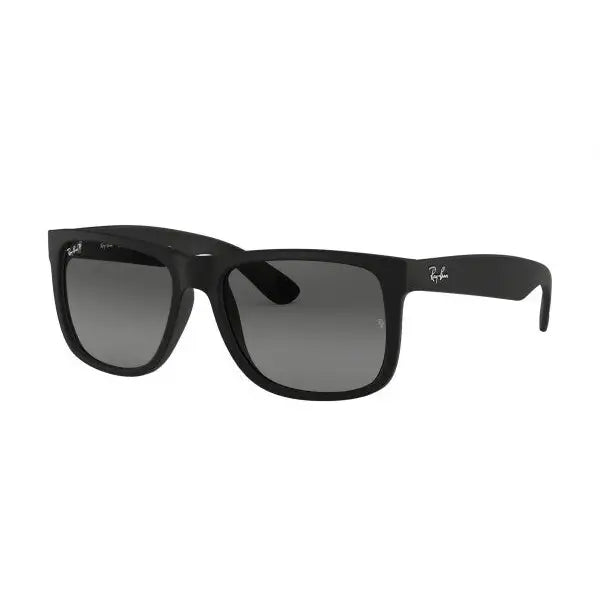 Ray-Ban Justin Rubber Sunglasses