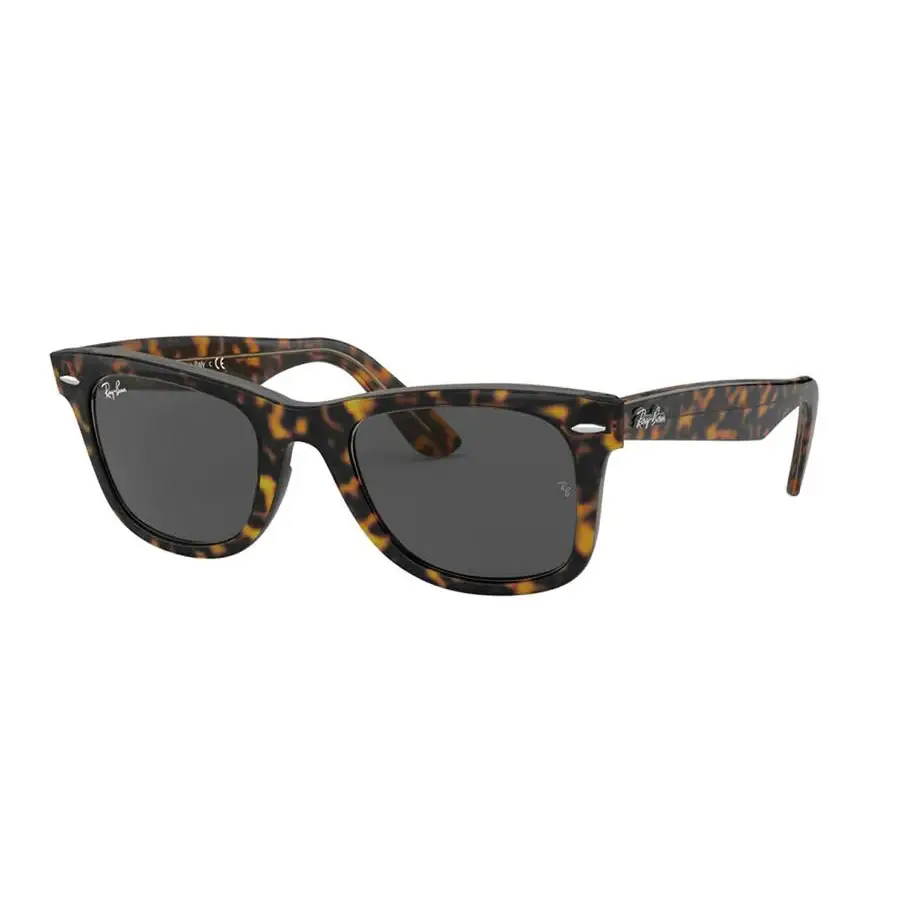 Ray-Ban Wayfarer Sunglasses
