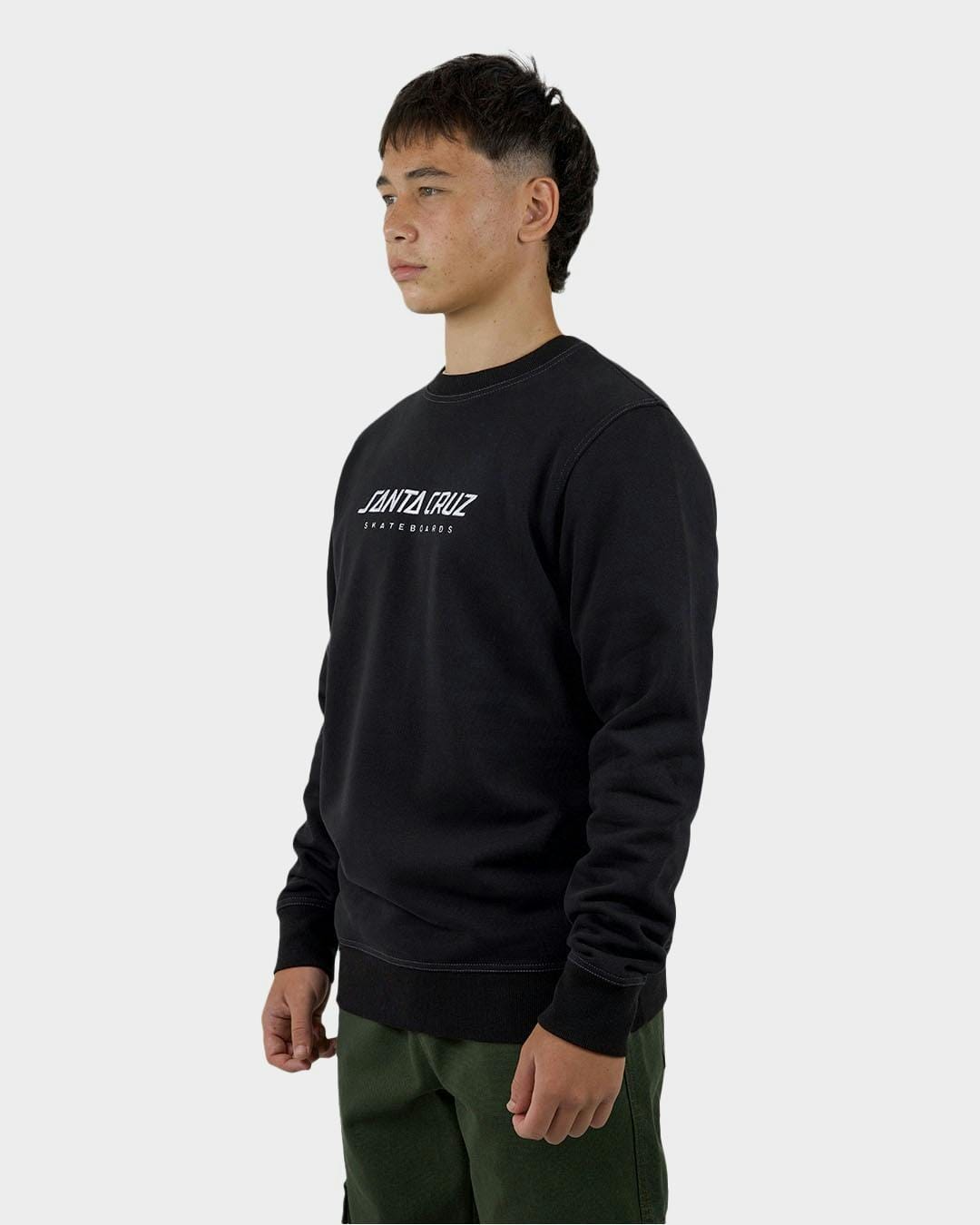 Santa Cruz Solid Strip Front Crew