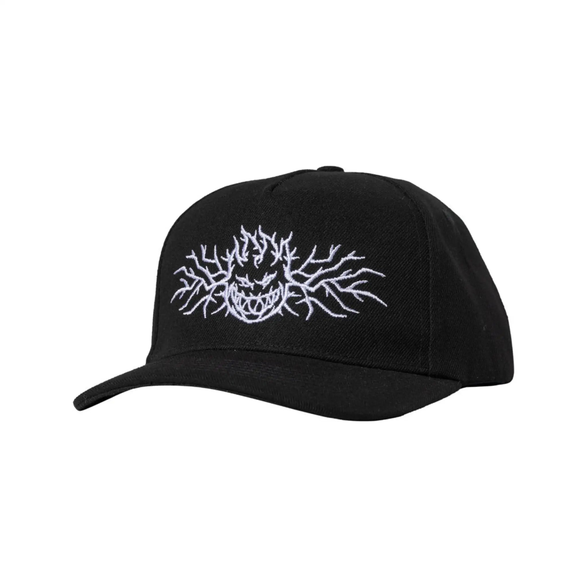 Spitfire Bighead Thorn A Frame Snapback Cap
