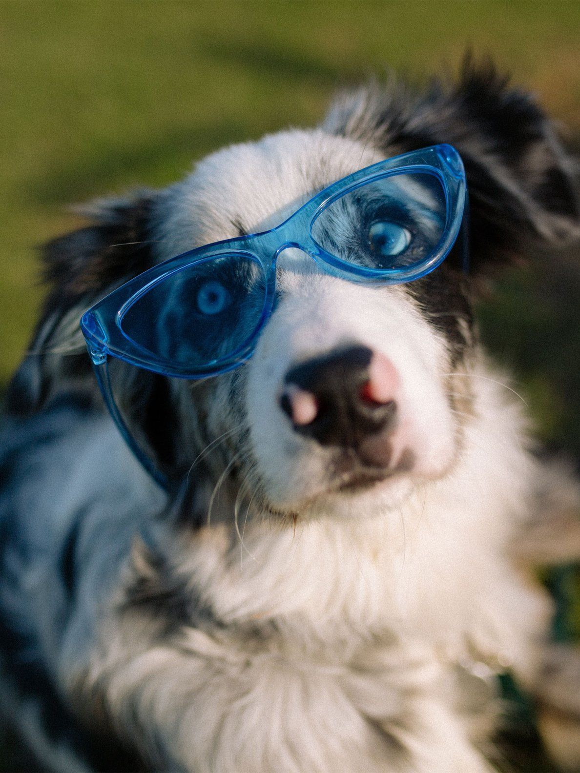 Volcom Knife Sunglasses